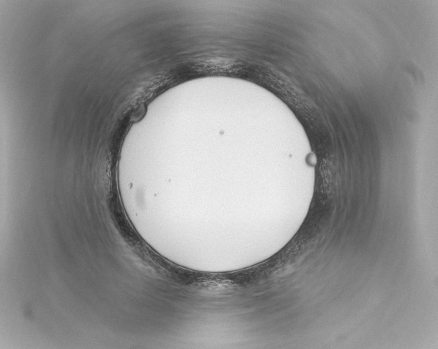 X0000115240642200911271844