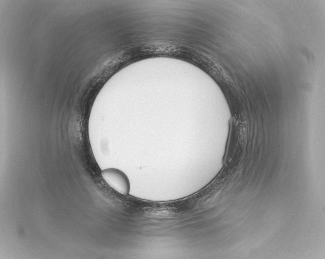 X0000115240643200911271844