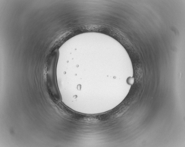 X0000115240644200911271844