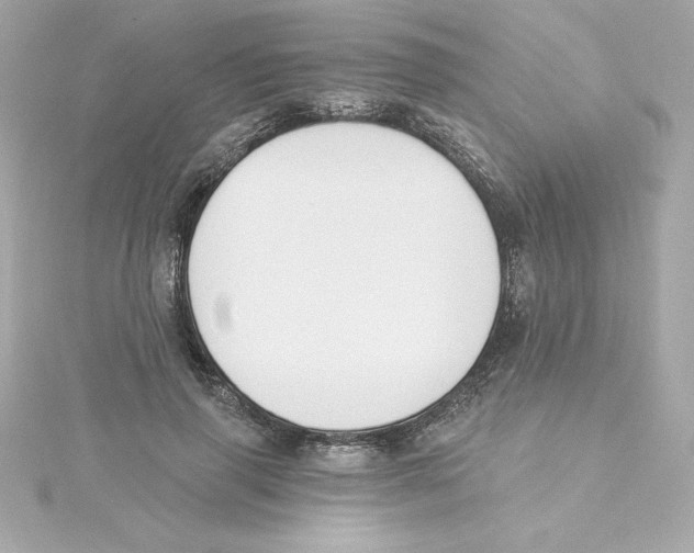 X0000115240645200911271844