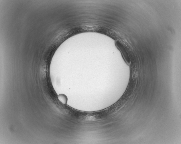 X0000115240647200911271844