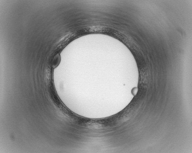 X0000115240648200911271844