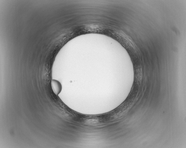 X0000115240653200911271844