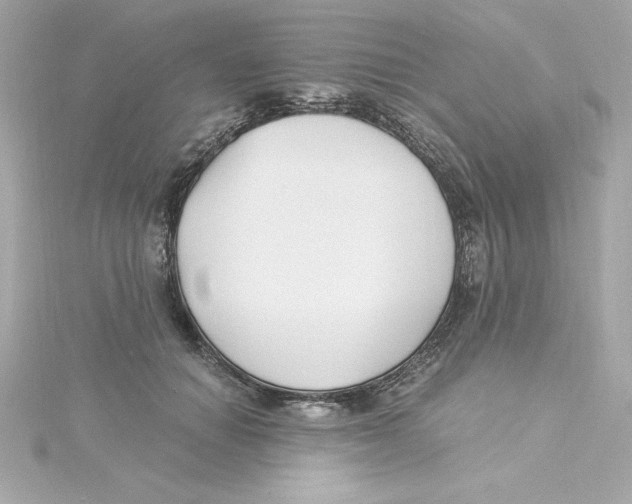 X0000115240654200911271844