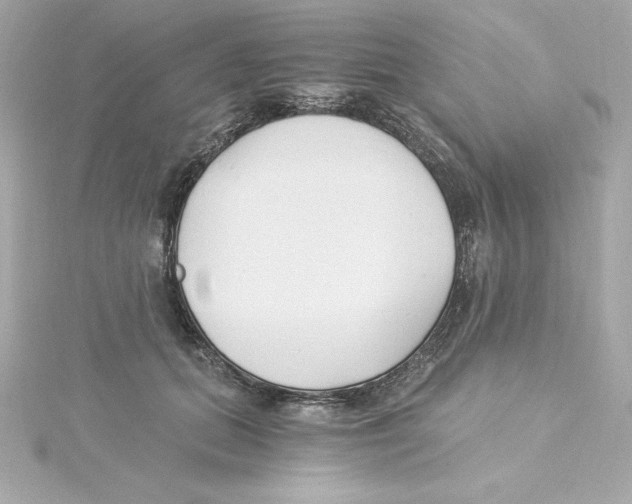 X0000115240655200911271844