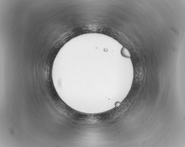 X0000115240656200911271844