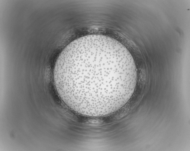 X0000115240659200911271844