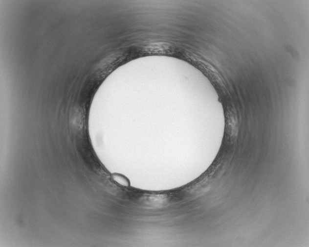 X0000115240665200911271844