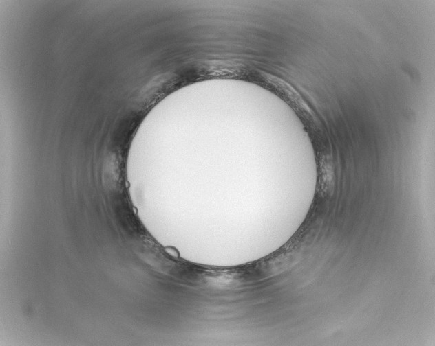 X0000115240667200911271844