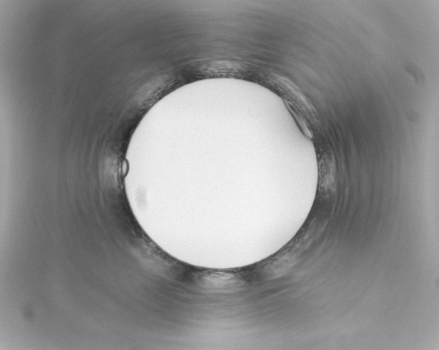 X0000115240669200911271844