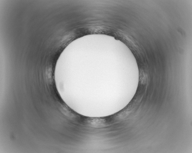 X0000115240670200911271844