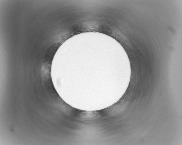 X0000115240672200911271844