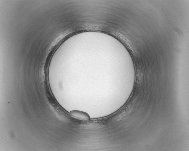 X0000115240674200911271843