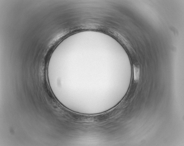 X0000115240675200911271843