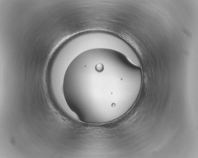 X0000115240676200911271843