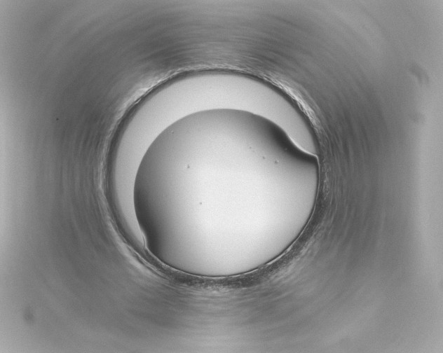 X0000115240677200911271843