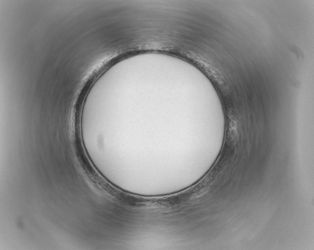 X0000115240678200911271843