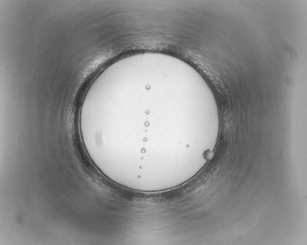 X0000115240679200911271843