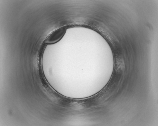 X0000115240680200911271843