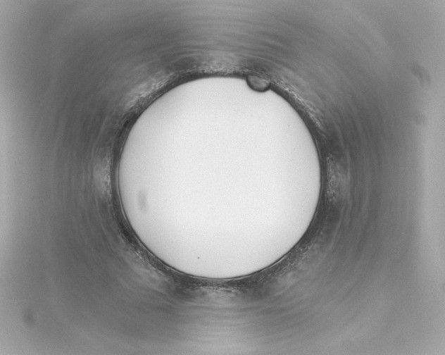 X0000115240681200911271843