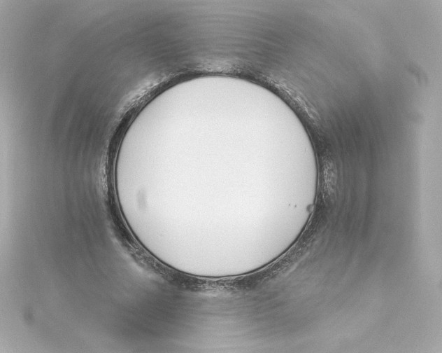 X0000115240682200911271843