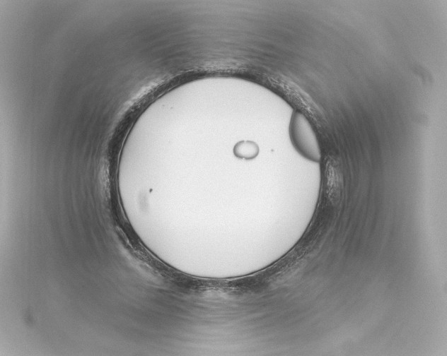 X0000115240684200911271843