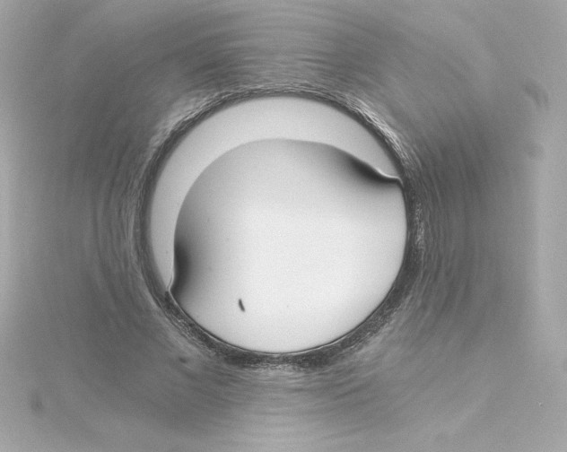 X0000115240685200911271843