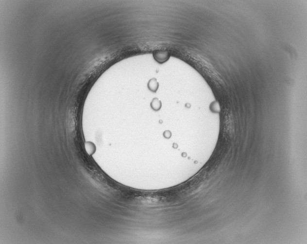 X0000115240687200911271843