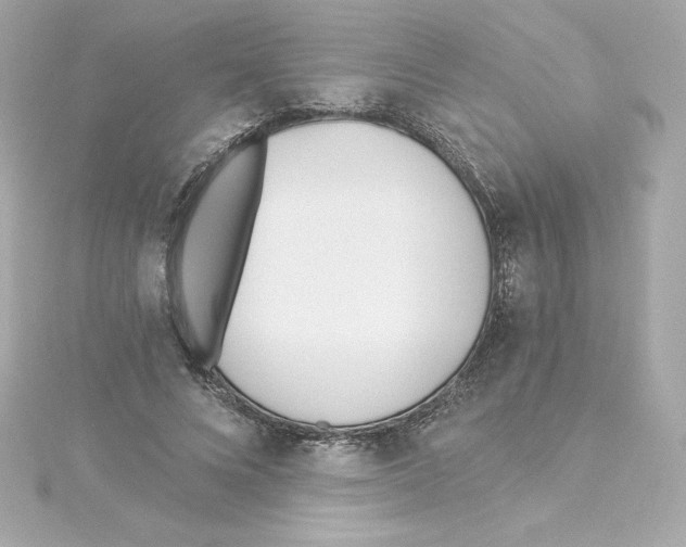 X0000115240688200911271843