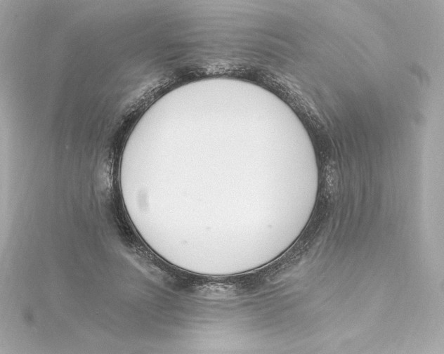 X0000115240691200911271843