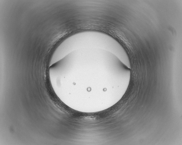 X0000115240692200911271843