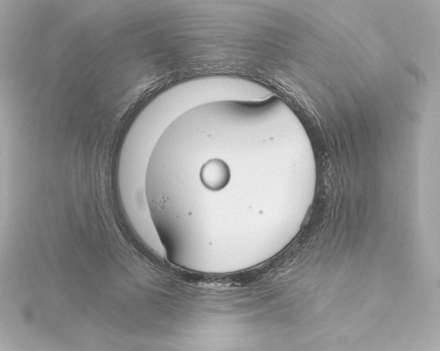 X0000115240693200911271843