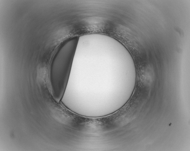 X0000115240696200911271843