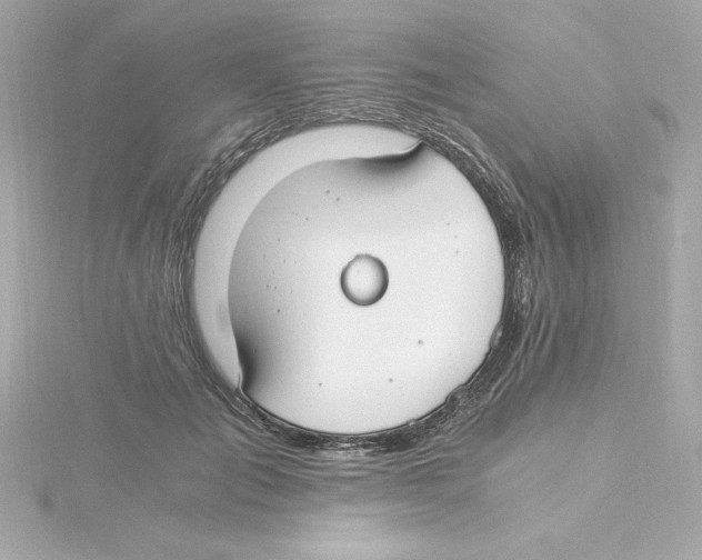 X0000115240701200911271843