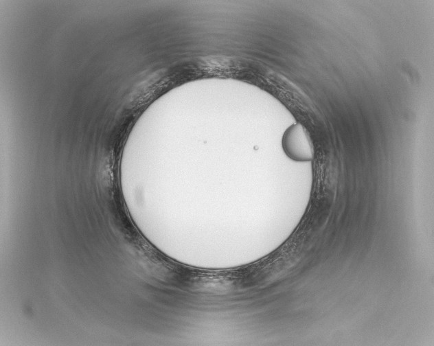 X0000115240702200911271843