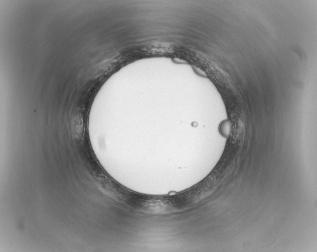 X0000115240704200911271843