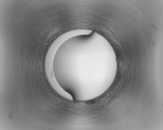 X0000115240705200911271843