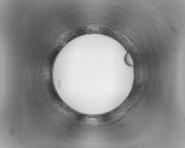 X0000115240706200911271843