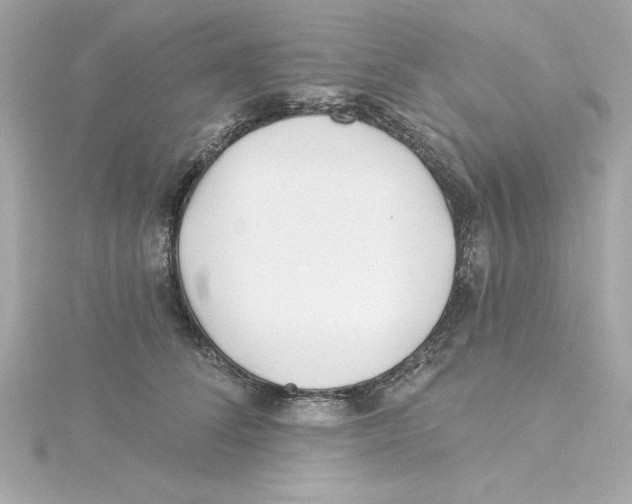 X0000115240708200911271843