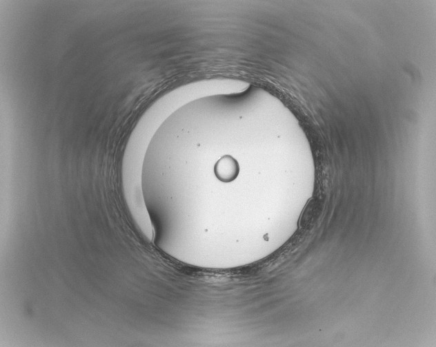 X0000115240709200911271843