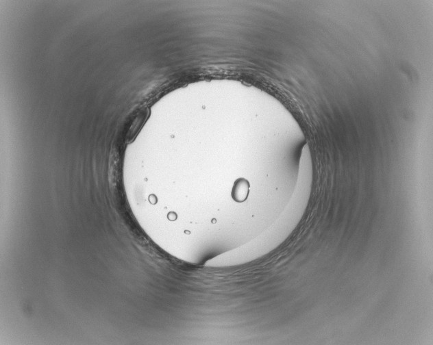 X0000115240712200911271843