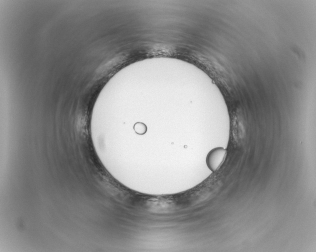 X0000115240714200911271843