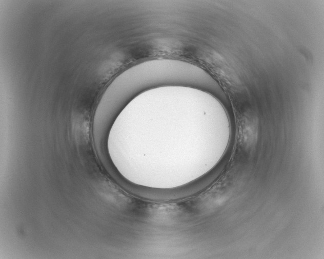 X0000115240716200911271843