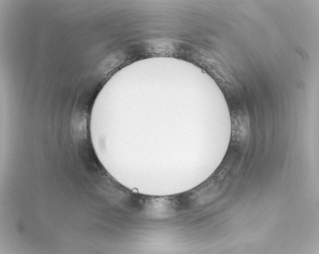 X0000115240717200911271843