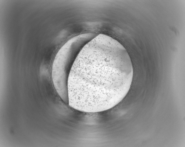 X0000115240720200911271843