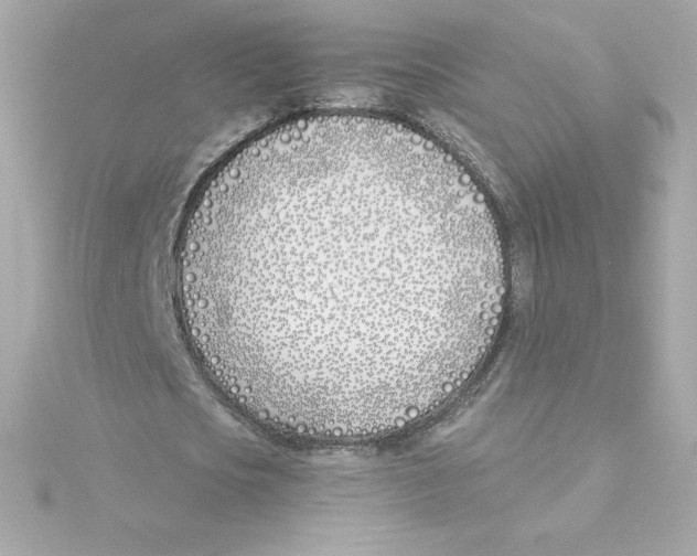 X0000115240721200911271842