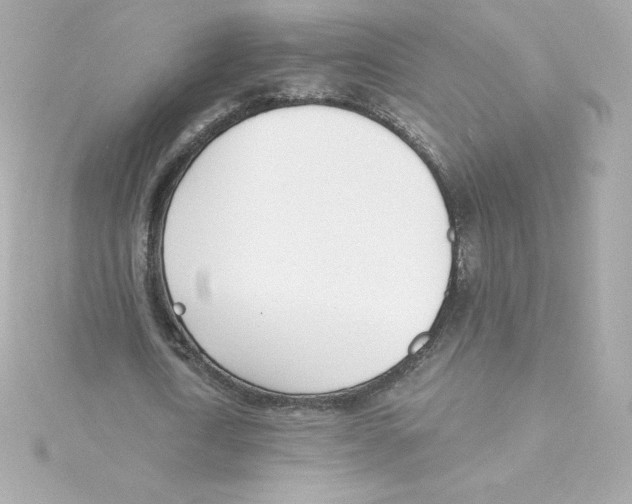 X0000115240722200911271842