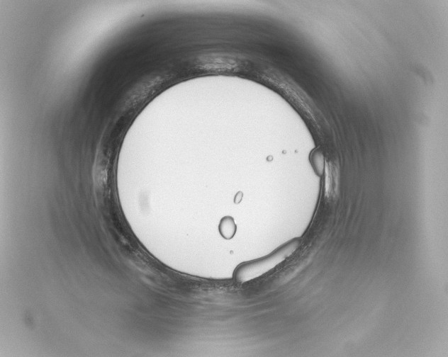 X0000115240723200911271842