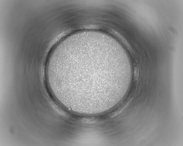 X0000115240725200911271842