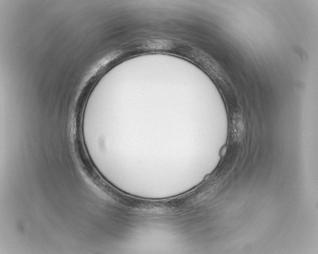 X0000115240726200911271842